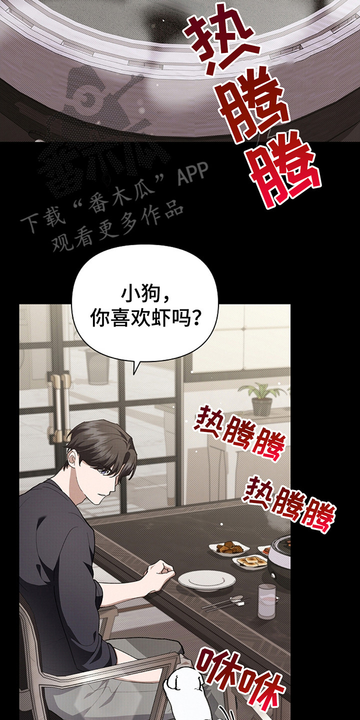 小白狗奇遇记动漫漫画,第21话2图