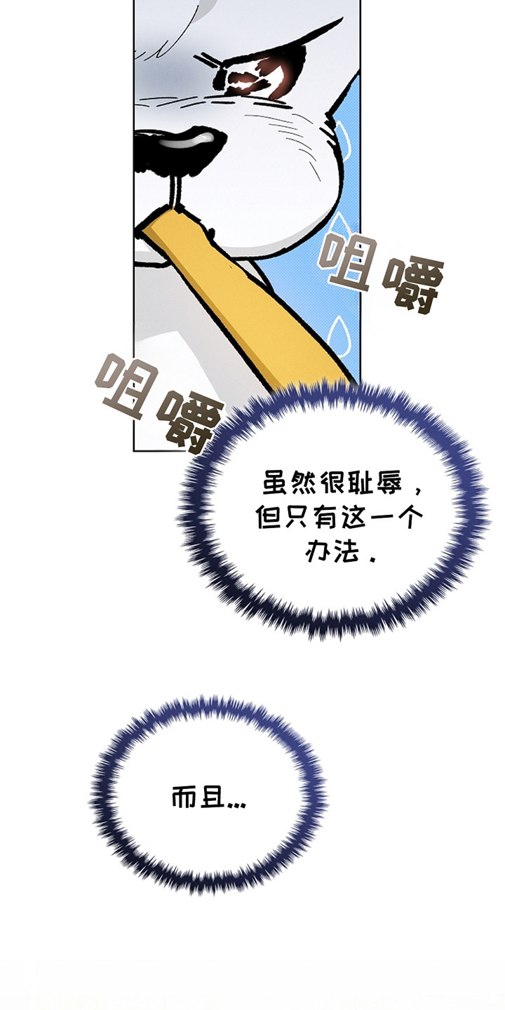 小白狗奇遇记漫画全集免费观看漫画,第14话3图