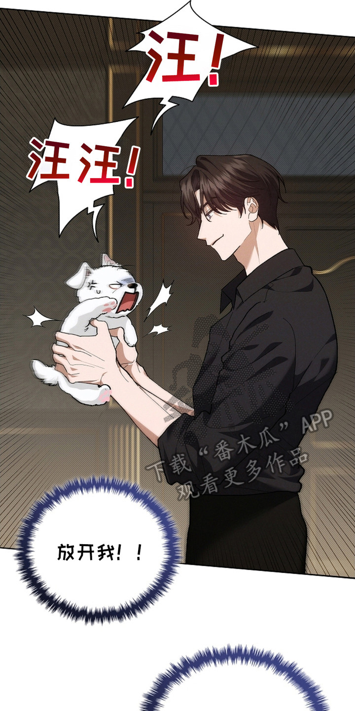 小白狗奇遇记漫画全集免费观看漫画,第4话2图