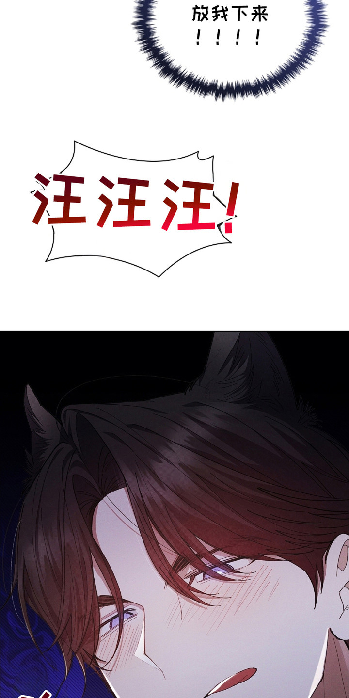小白狗奇遇记漫画全集免费观看漫画,第4话3图