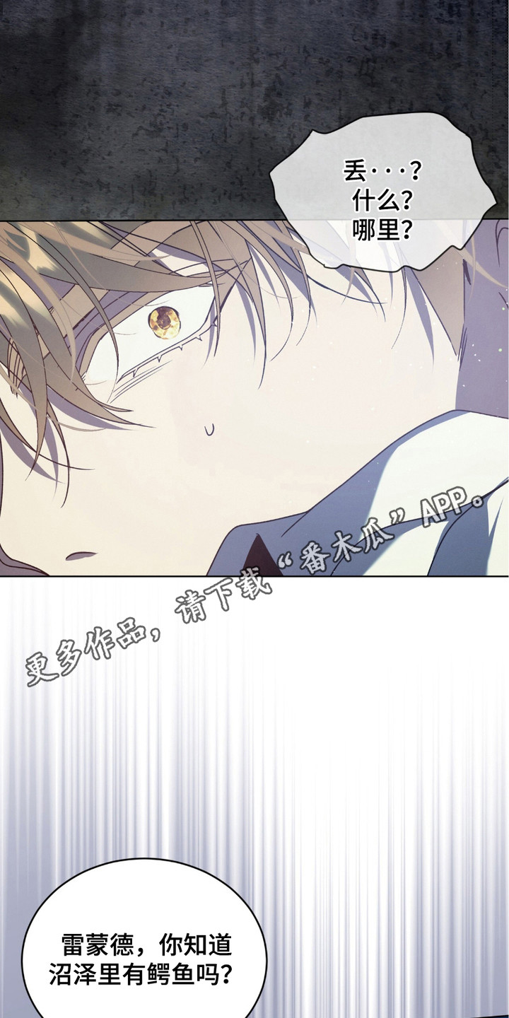 流放前用空间收财物的小说漫画,第12话5图