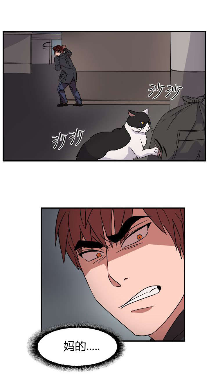 第55话1
