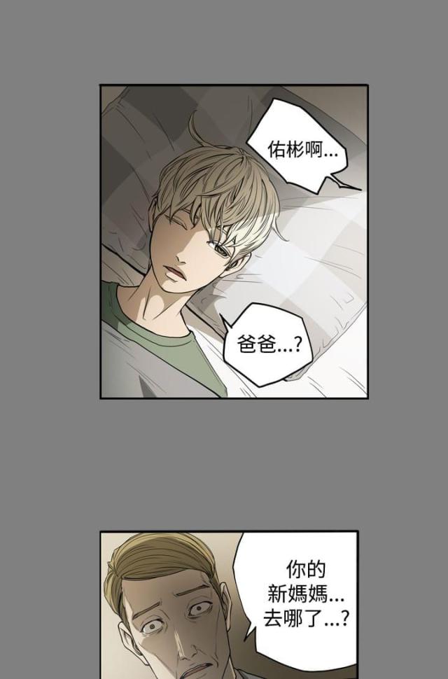 布局高手的特点漫画,第24话5图