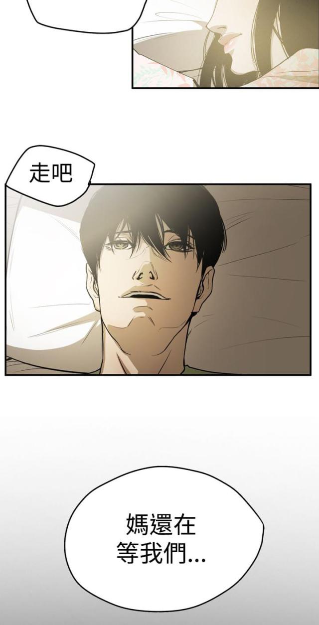 布局疑形与攻击漫画,第66话3图