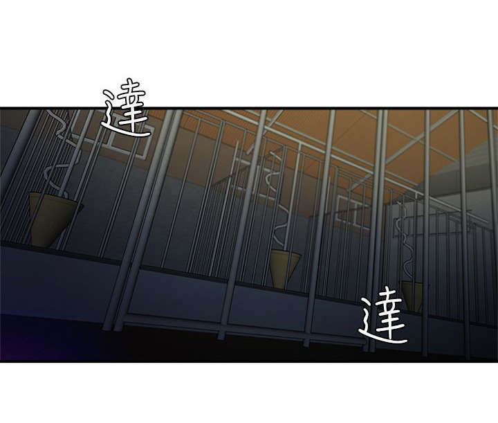 圈养计划韩漫漫画,第1话2图