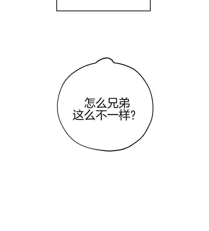 幸运天使人物介绍漫画,第90话5图