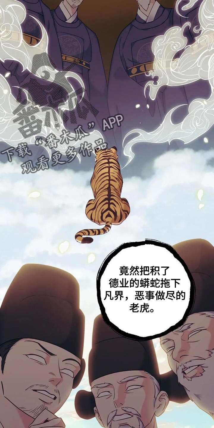 虎患预防措施漫画,第35话3图