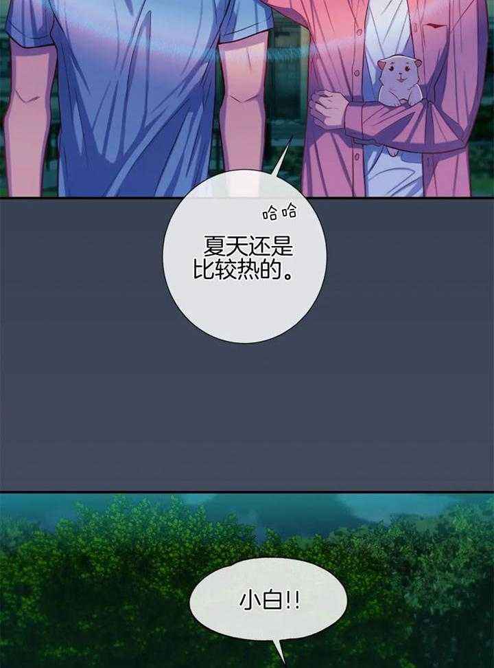 夏天的蜗牛漫画,第65话2图