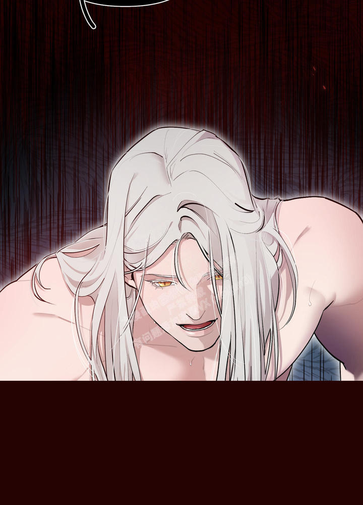 大公阁下的玩具结局是啥漫画,第88话2图
