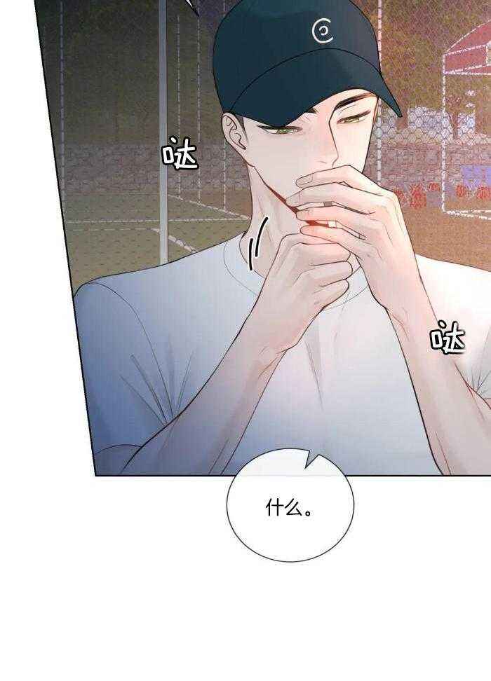 阿尔法伴侣简介漫画,第78话4图