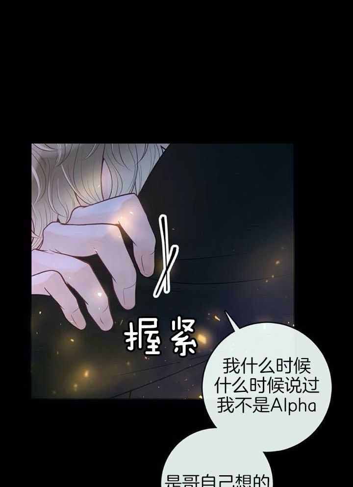 阿尔法伴侣简介漫画,第70话3图