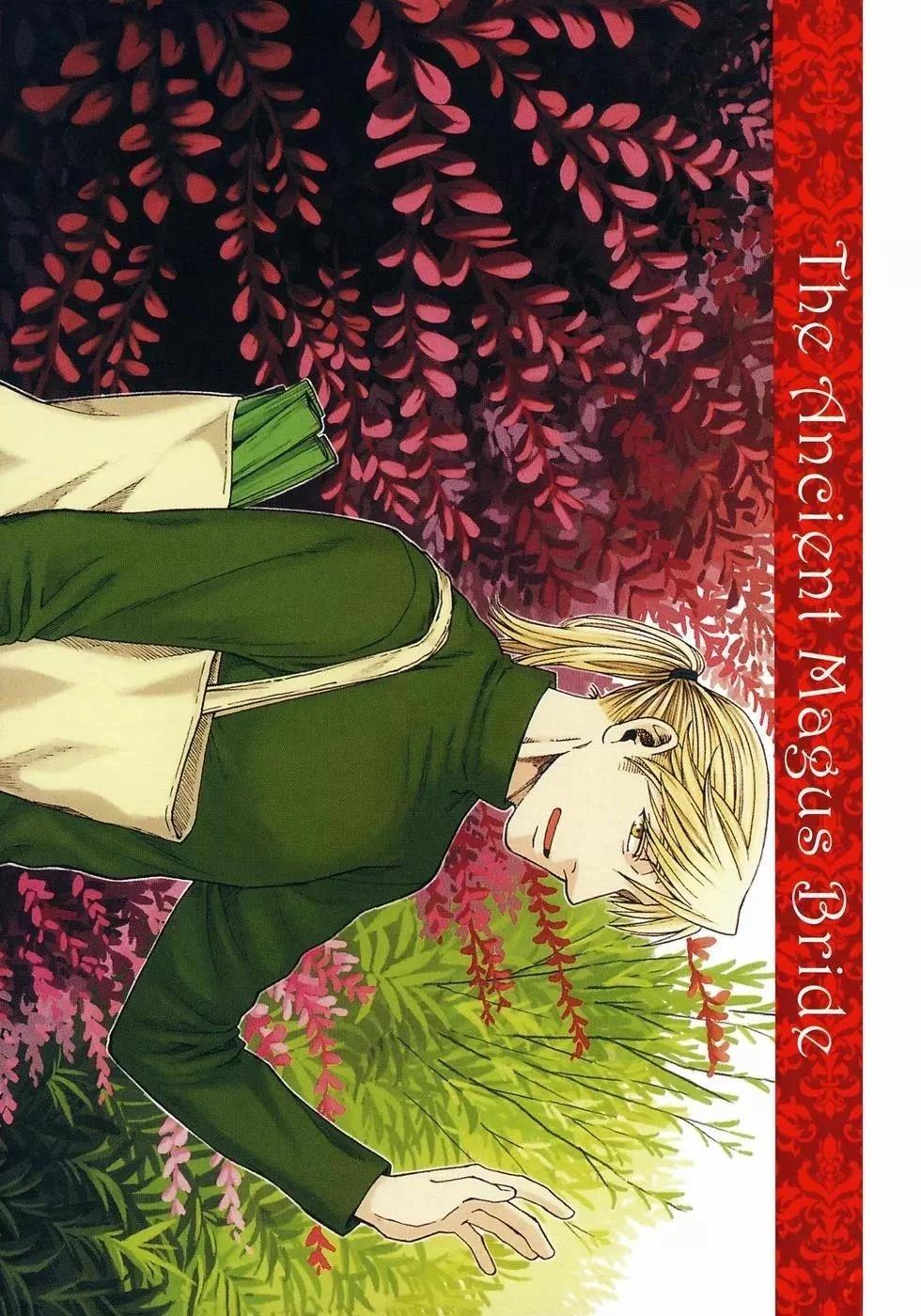 魔法使的新娘作者漫画,第11卷5图