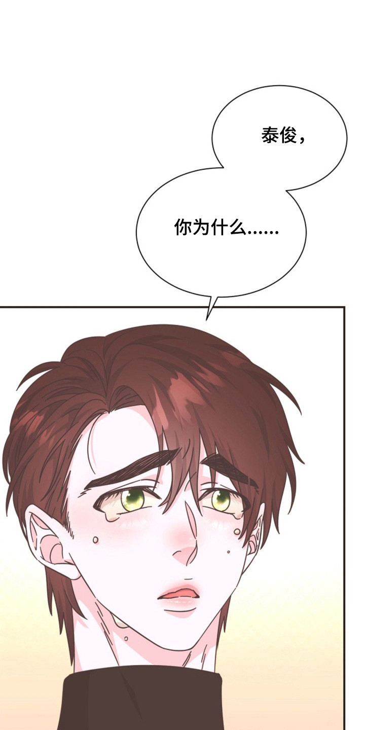 我的爱豆会发光全文免费阅读无弹窗漫画,第25话1图