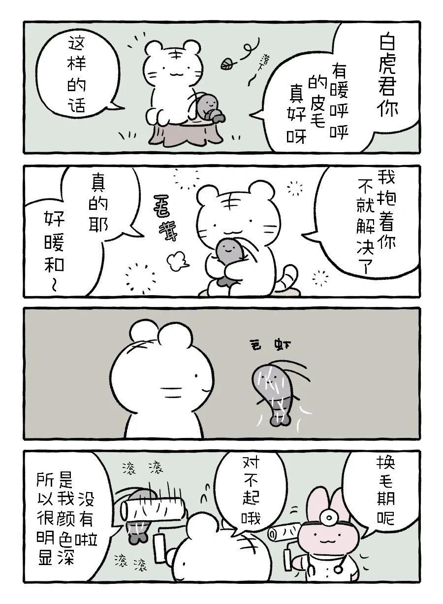 白虎和黑虎漫画,冤家路窄1图